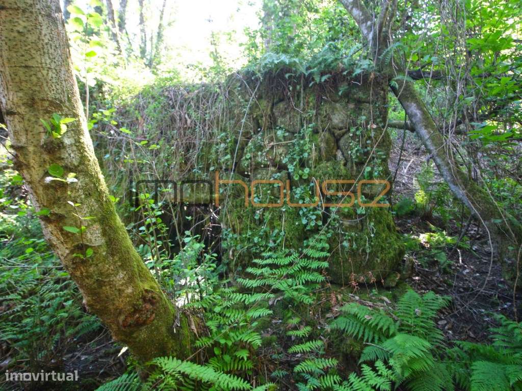 Quinta de 5.6 ha - Varias edificações, ribeiro e vista Douro-25