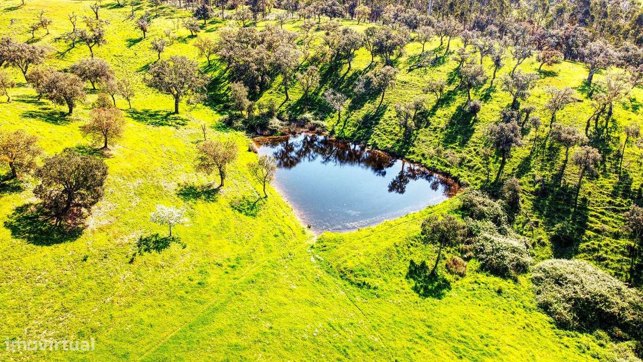 TERRENO EM S.BARTOLOMEU DA SERRA-8