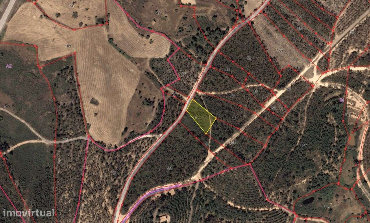 Terreno Rústico  Venda em Fratel,Vila Velha de Ródão - Grande imagem: 4/4