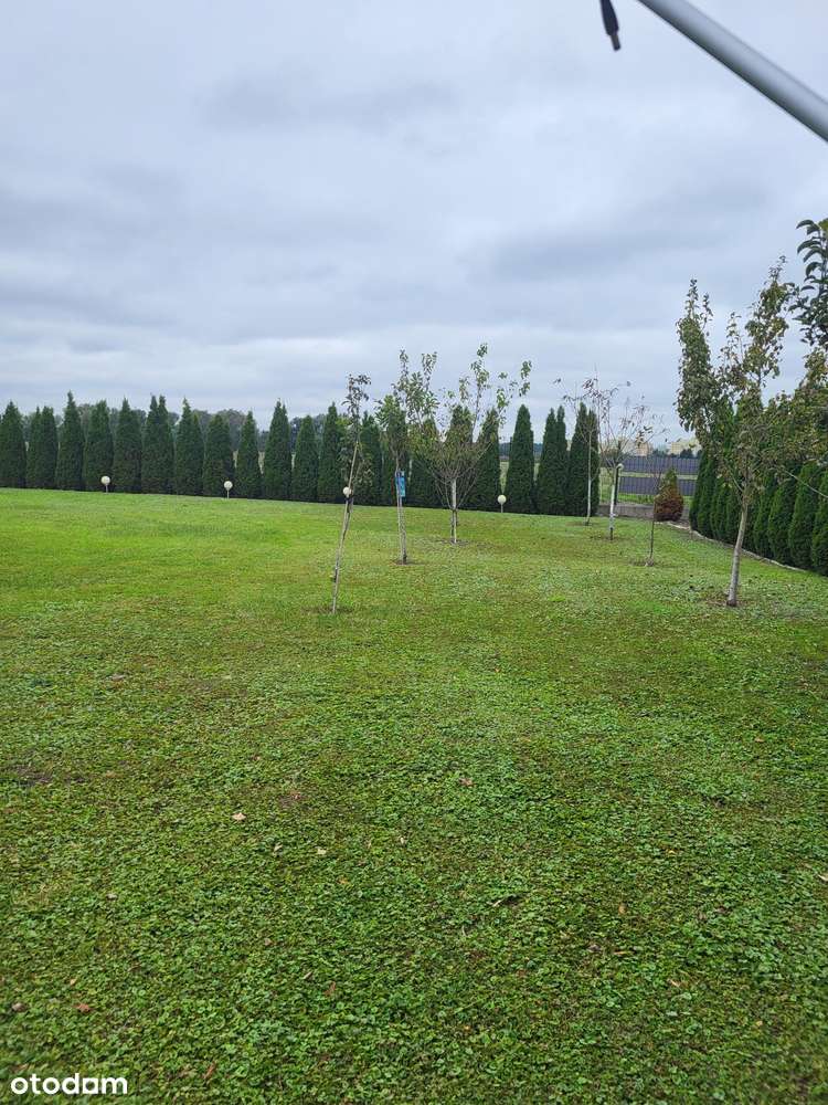 Węgrowo działka ogrodzona wydane warunki zabudowy  na sprzedaż-2