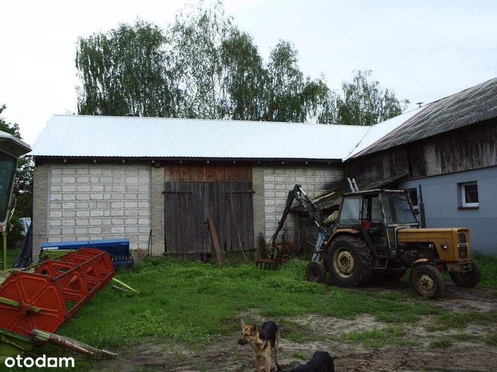 Sprzedam gospodarstwo z ziemią-Ostrówki gm.Wohyń - Pełny obrazek: 4/6