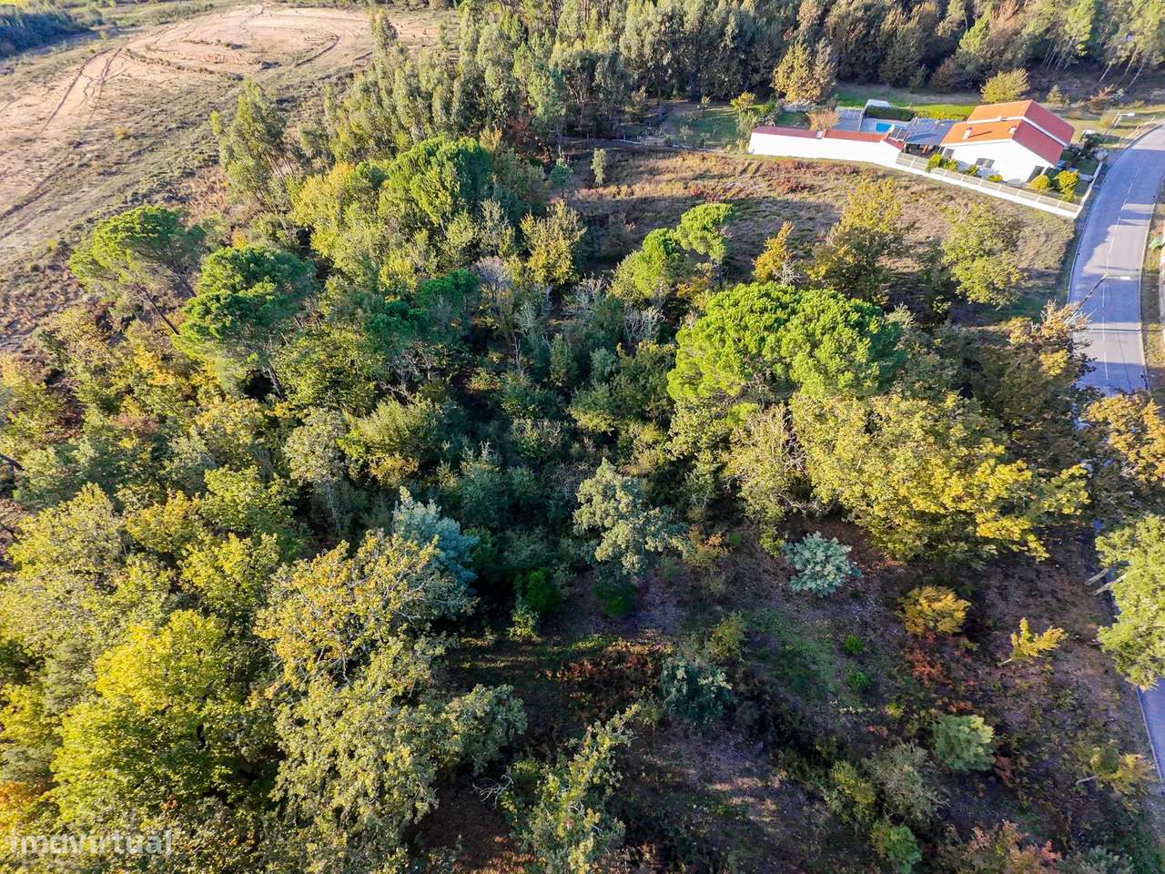 Terreno de 7.912 m2 com Viabilidade de Construção - Tábua - Grande imagem: 4/14