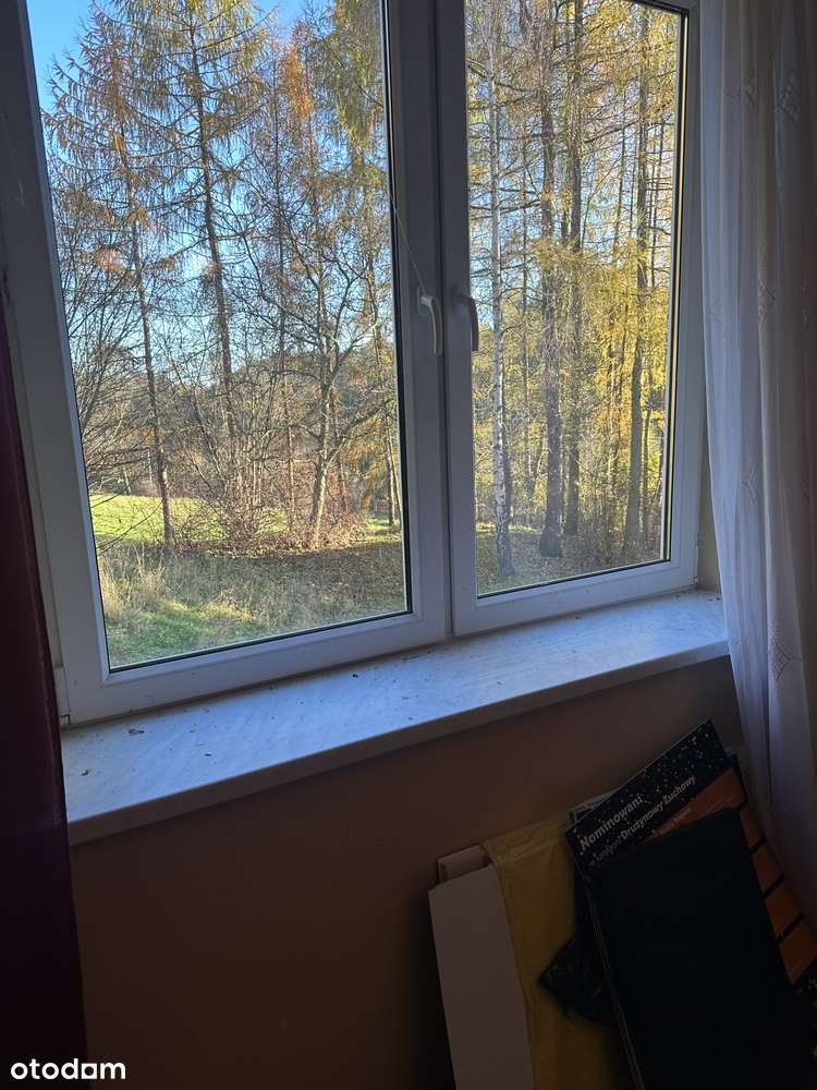 Dom pod lasem ze stodołą !  z potemcjałem , do remontu, ok. Krakowa-8