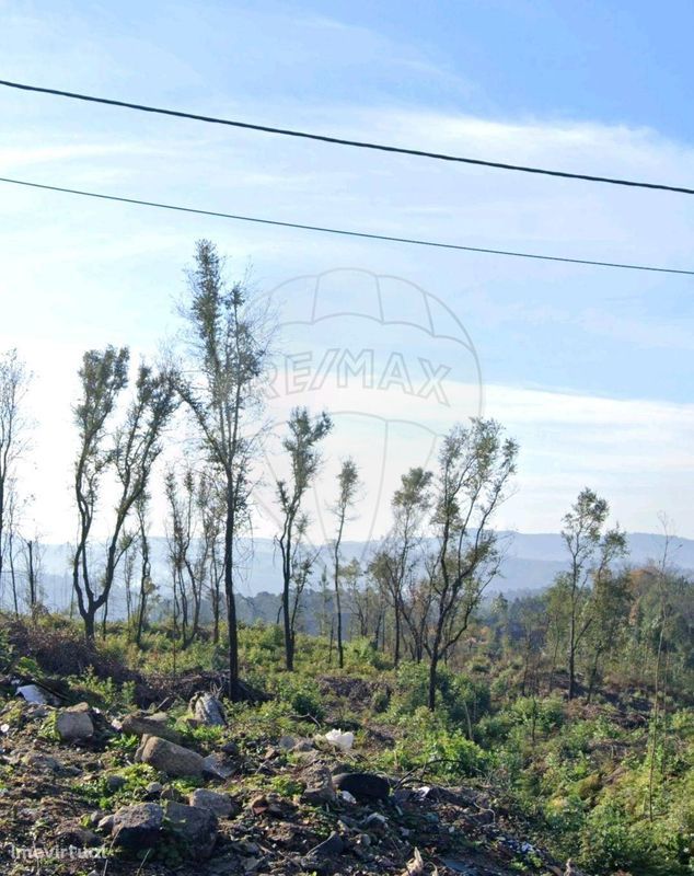 Terreno  para venda