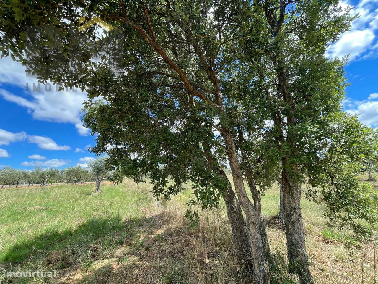Terreno Rústico  Venda em Ninho do Açor e Sobral do Campo,Castelo Bran - Grande imagem: 2/10