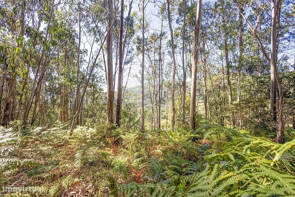 Terreno  para venda - Grande imagem: 5/25