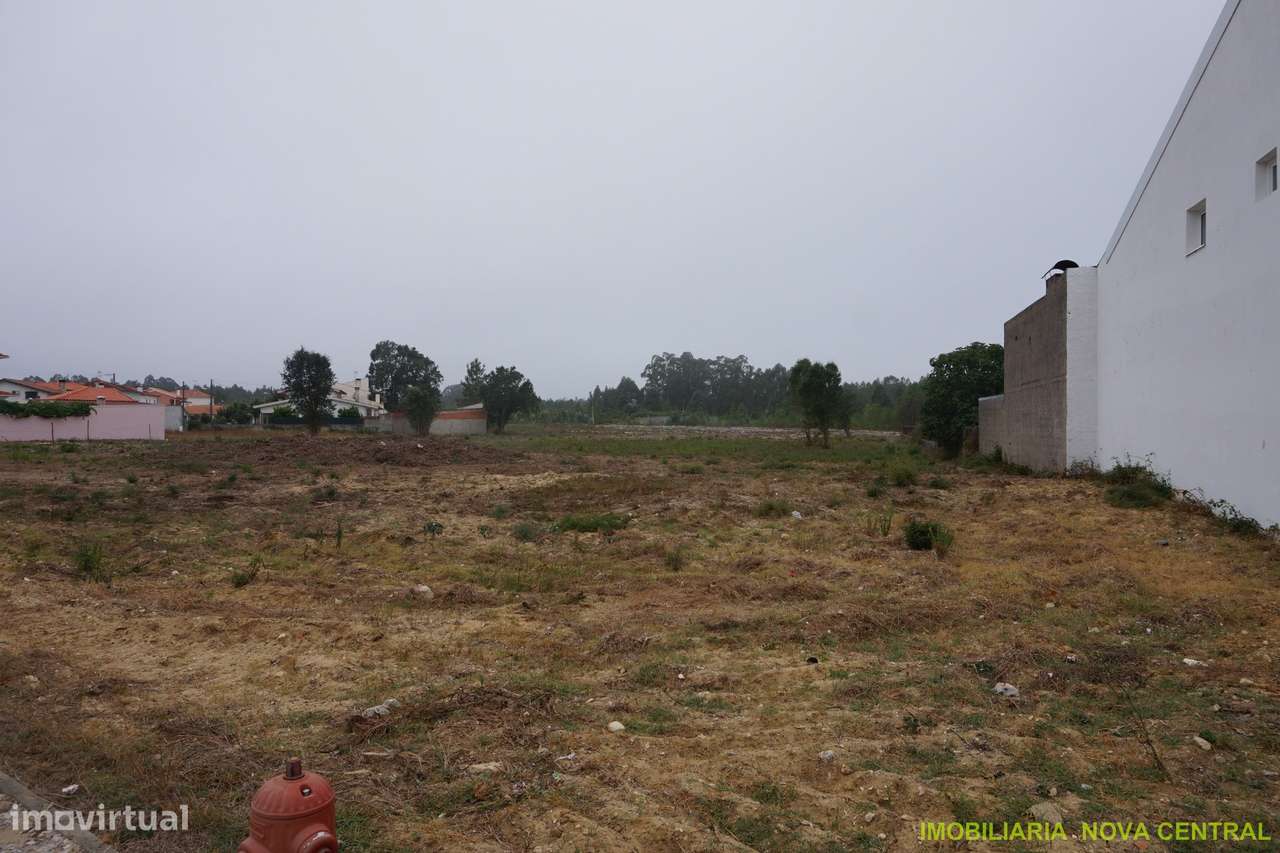 Lote de Terreno  Venda em Cantanhede e Pocariça,Cantanhede - Grande imagem: 2/10