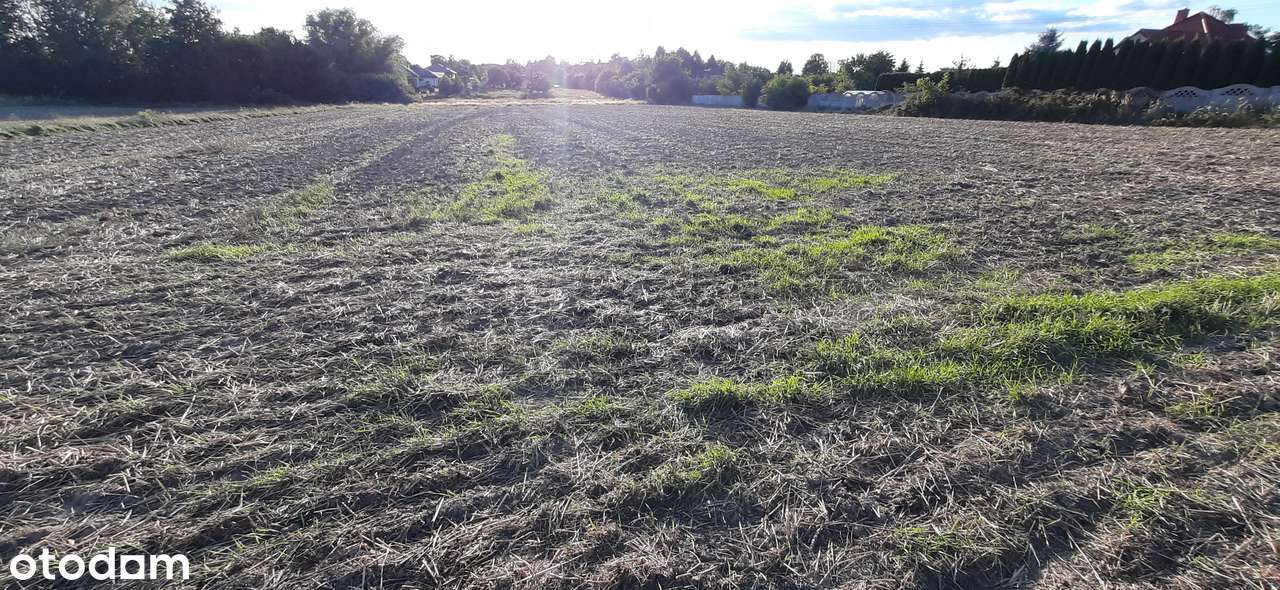 Działki Łódź-Widzew z Warunkami Zabudowy - Pełny obrazek: 4/5