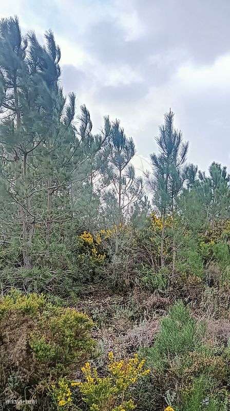 Terreno  para venda - Grande imagem: 2/4