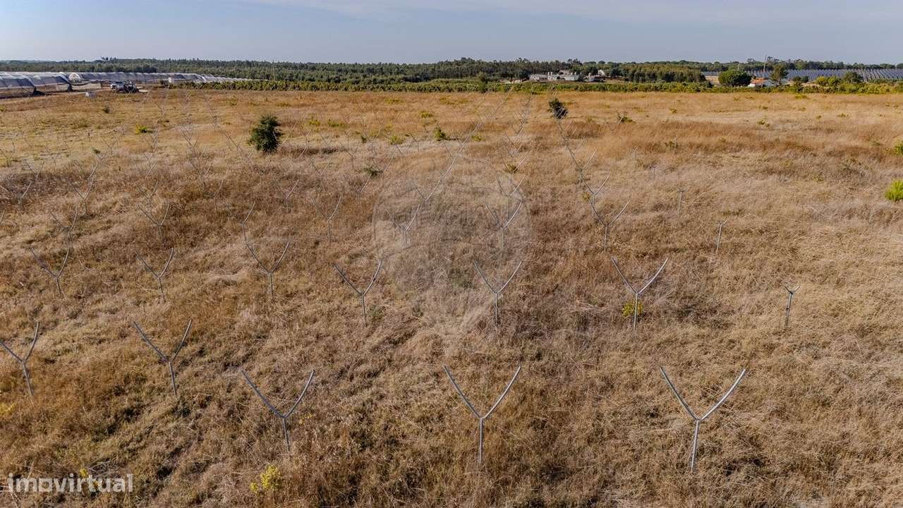 Terreno  para venda - Grande imagem: 5/7