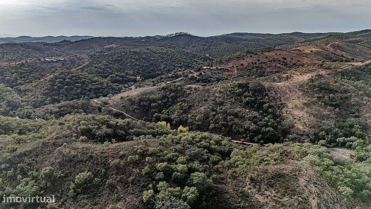 Quinta T3 para venda - Grande imagem: 5/38