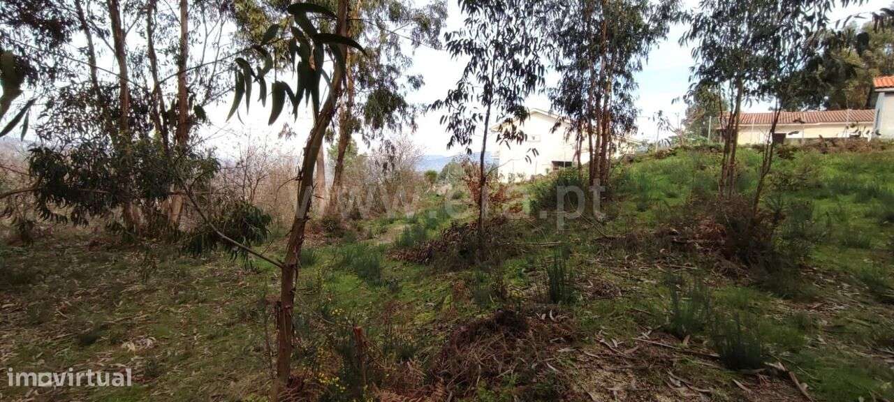 Terreno / Marco de Canaveses, Várzea, Aliviada e Folhada - Grande imagem: 5/12