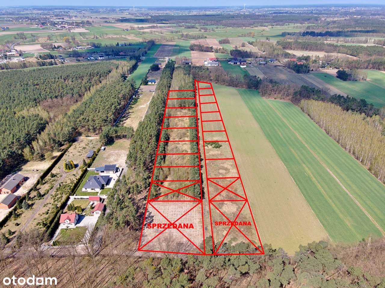 Działki budowlane pod lasem – Młynisko gm. Koźminek - Pełny obrazek: 3/17
