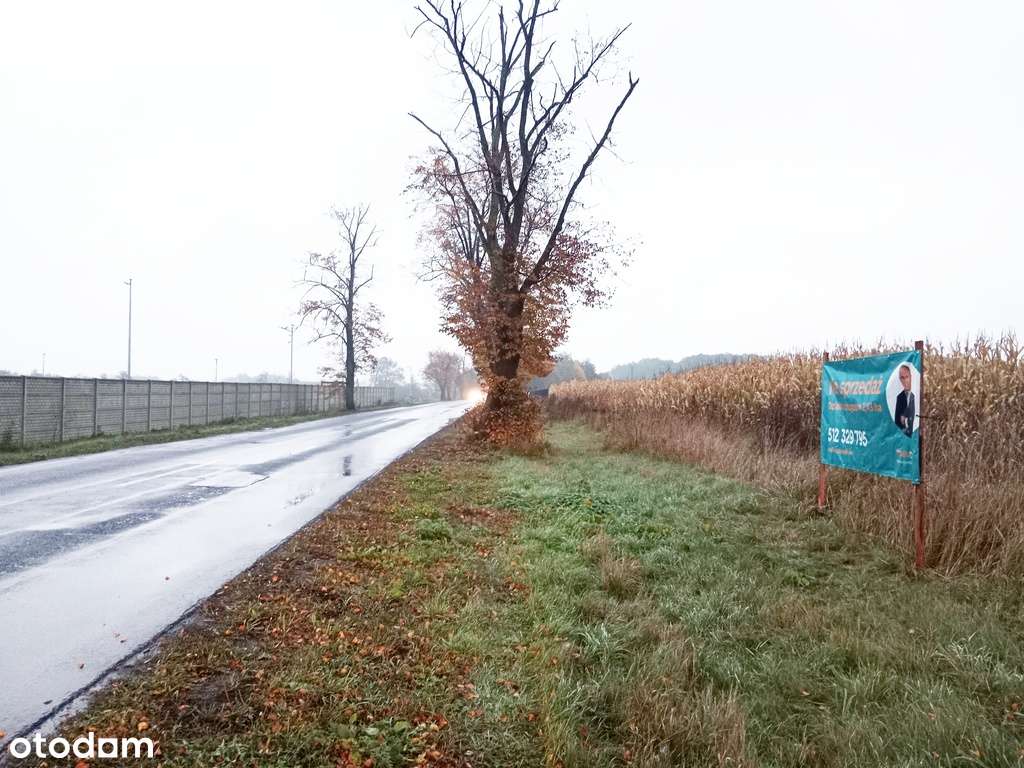 2,43 ha inwestycyjne z MPZP, 2 km do A1, gm. Rzgów - Pełny obrazek: 5/12