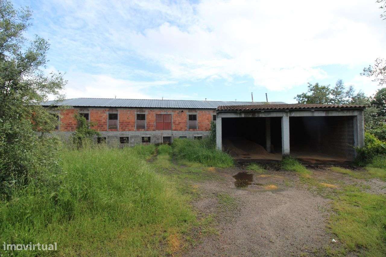 Aviário em Pleno Funcionamento - Grande imagem: 4/27