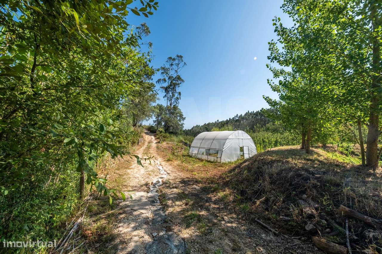 Terreno Agrícola na Fanadia | 16.100 m² de Potencial e Infraestrutu...-16