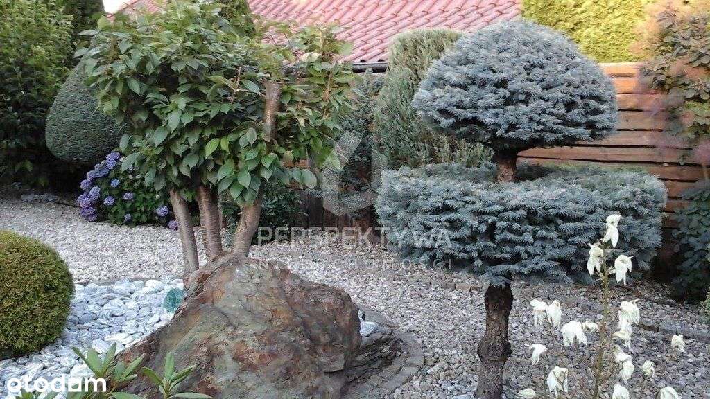 Dom Z Pięknym Ogrodem-Jędrzychów, Zielona Góra-14