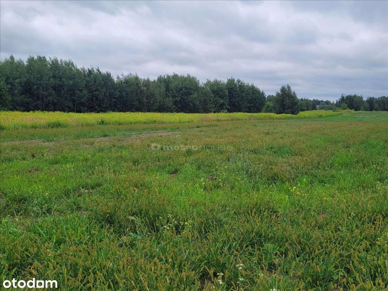 Działka budowlana Warszawa -Ursynów - Pełny obrazek: 4/11