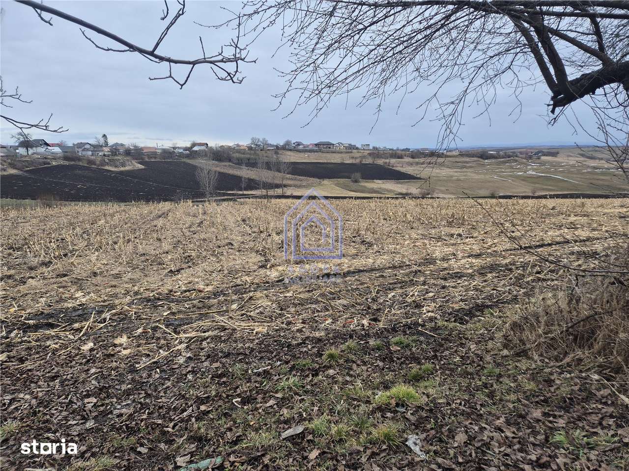 Teren Moara Nica - zona Scolii-0