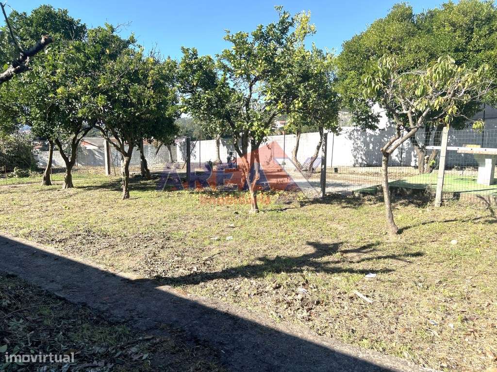 Moradia Individual com 1259 m² de Terreno Oliveira de Azeméis-12