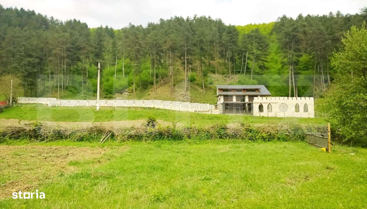 Casa individuala la rosu, 247 mp, teren 5000 mp in Surduc - Imagine principală: 3/4