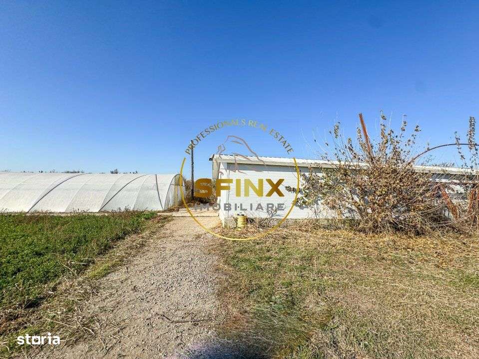 De vanzare ferma Calarasi in stare de conservare - sere - livada - Imagine principală: 4/19