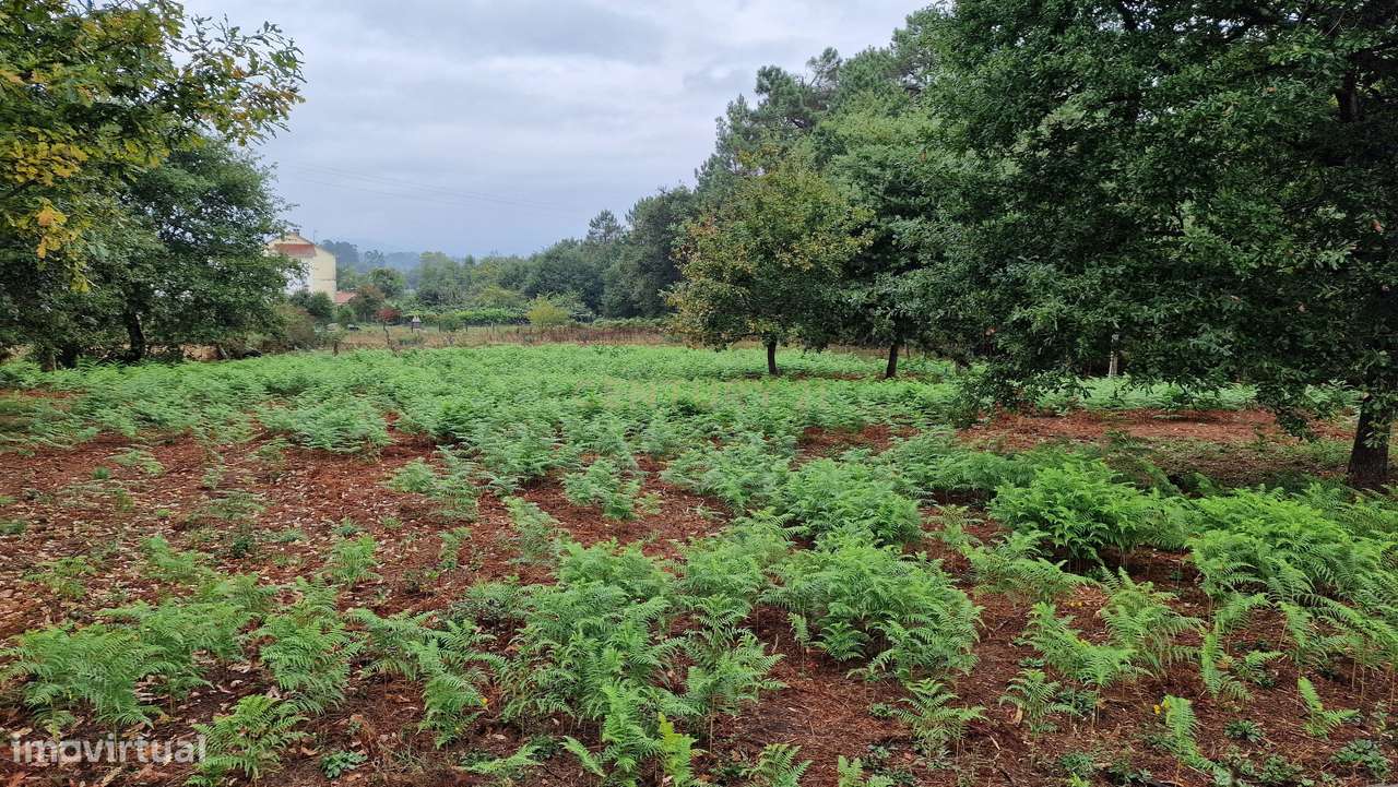 Terreno plano, com 2152m2, localizado a 5 minutos do centro de S. Pedr-6