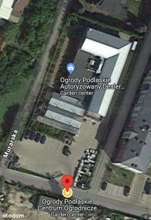 Budynek handlowo-usługowy Murarska 10 - Pełny obrazek: 5/20