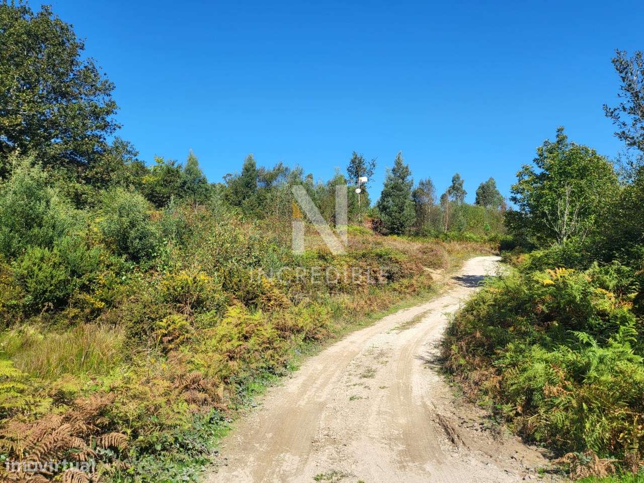 Terreno  Venda em Bucos,Cabeceiras de Basto-11
