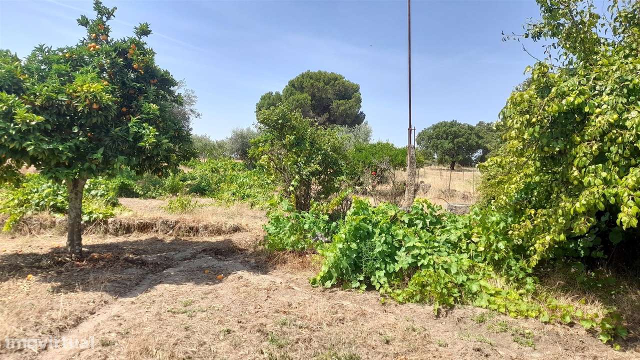 Terreno Rústico  Venda em Escalos de Cima e Lousa,Castelo Branco-6