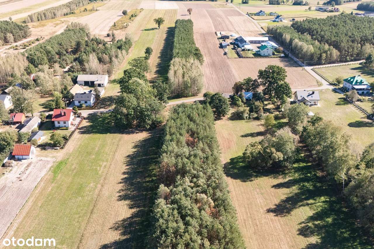 Działka z WZ gotowa na budowę | spokój, zieleń i własny kawałek lasu - Pełny obrazek: 5/9