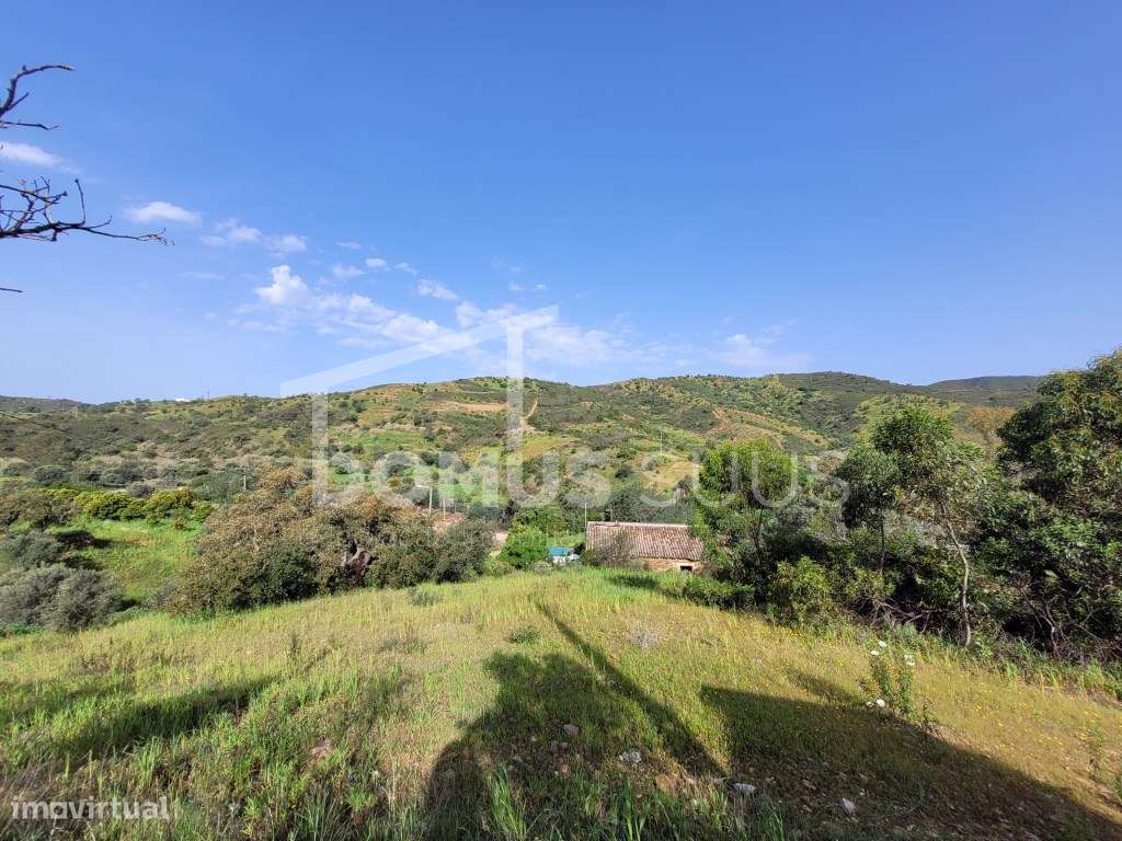 Moradia térrea localizada em zona calma e tranquila - Grande imagem: 4/11