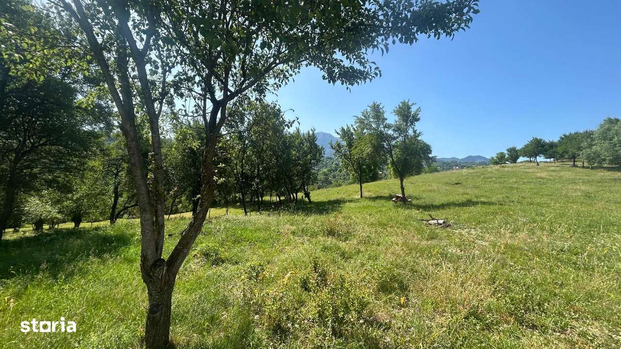 Teren Sohodol Vedere catre M-tii Bucegi - Imagine principală: 4/7