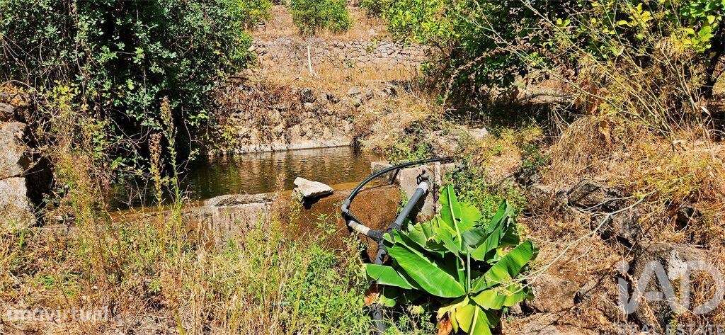 Casa / Villa T2 em Monchique de 18680,00 m2 - Grande imagem: 5/30