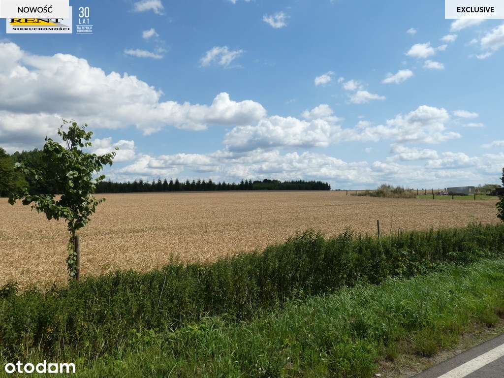 Działka budowlana w Dębicy k.Maszewa - Pełny obrazek: 4/11