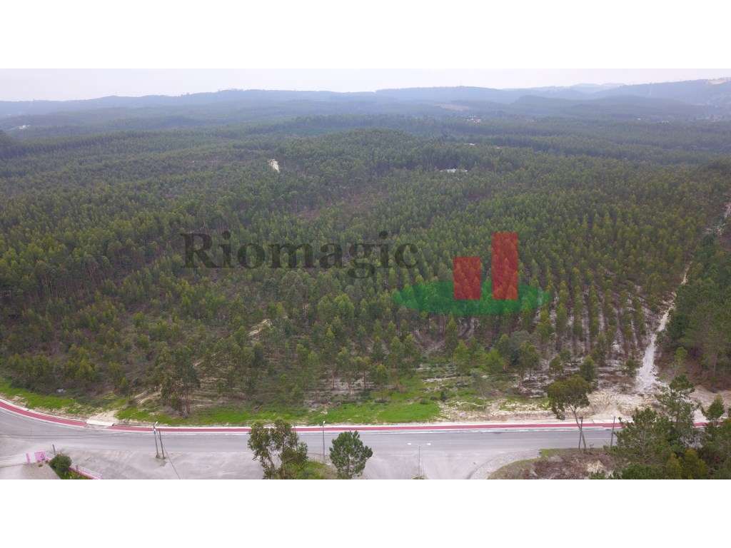 Terreno com Viabilidade de Construção***RIOMAGIC*** - Grande imagem: 3/8