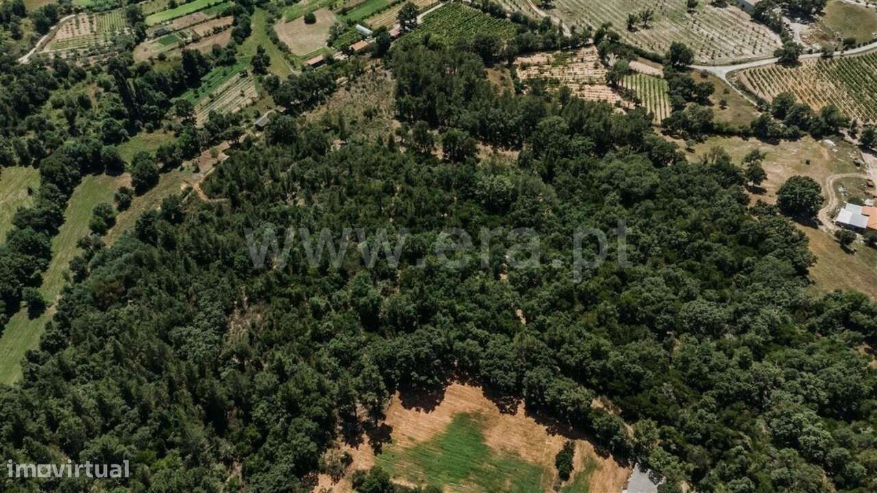 Terreno Rústico / Fundão, Fatela - Grande imagem: 5/20