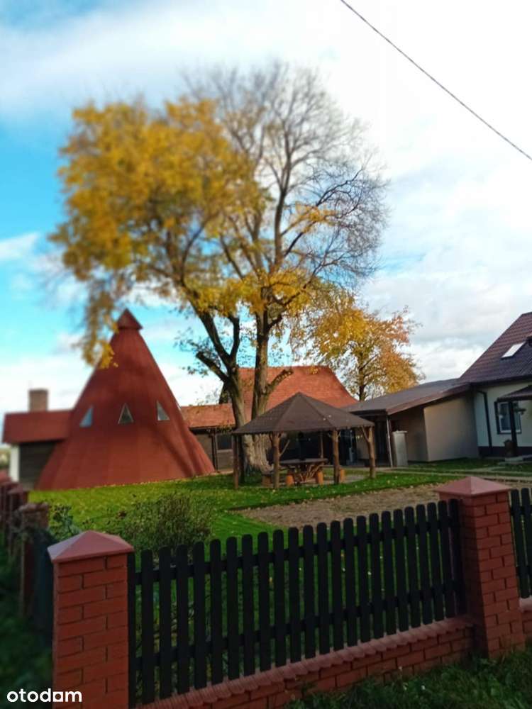 Nieruchomość z potencjałem przy lesie - Pełny obrazek: 5/10