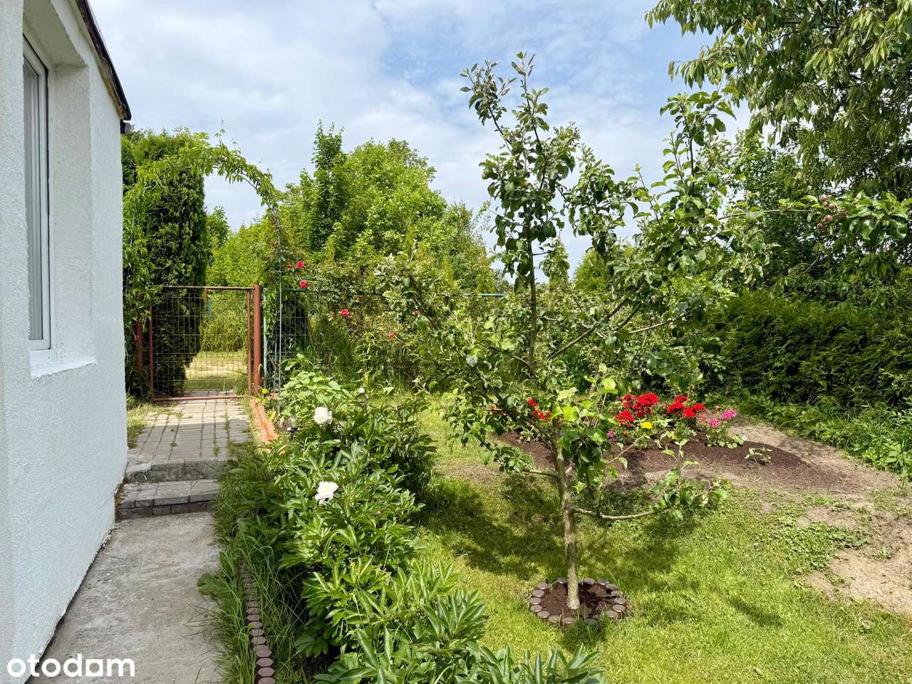 Działka ROD Zielony z domkiem, zadbana-15