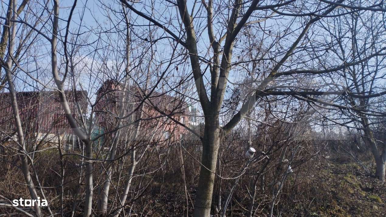 Teren 500 mp, pentru hala industriala, service auto, Calea Frunzisului - Imagine principală: 1/6