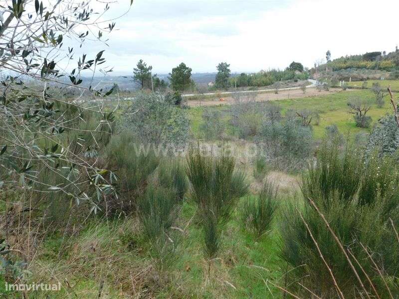 Terreno / Seia, Torrozelo - Grande imagem: 4/7