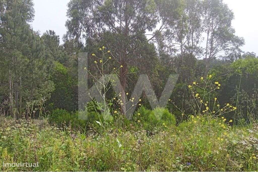 Lote de Terreno | 689m2 | Casal Fernão João | Pombal - Grande imagem: 4/14