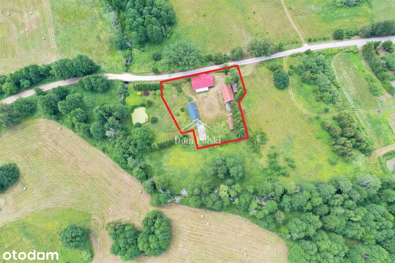 Siedlisko 2646 m2 - Czerwony Dwór, Puszcza Borecka - Pełny obrazek: 5/20