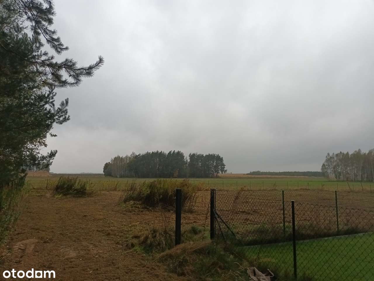 Malownicza działka pod lasem - Pełny obrazek: 2/10