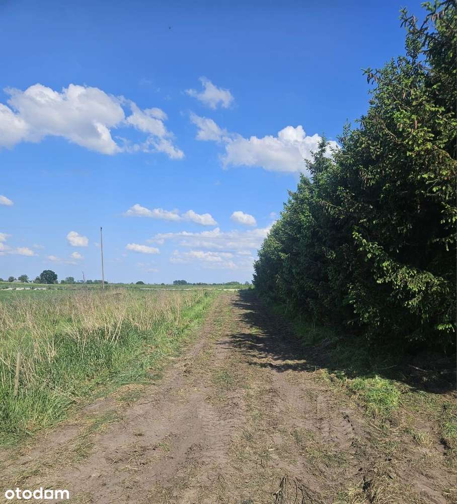 Działka budowlana Wielki Bukowiec dz.nr 619/1-5