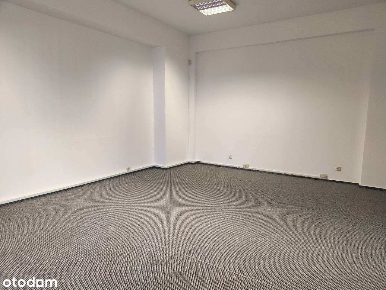 Lokal 52m Piotrkowska Deptak - Pełny obrazek: 4/9