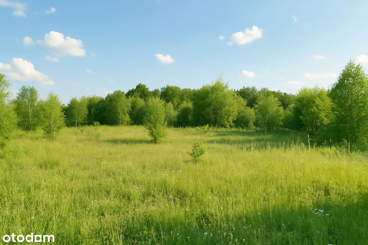 Działki nad jeziorem w malowniczym Garczu na Kaszubach - Pełny obrazek: 5/13