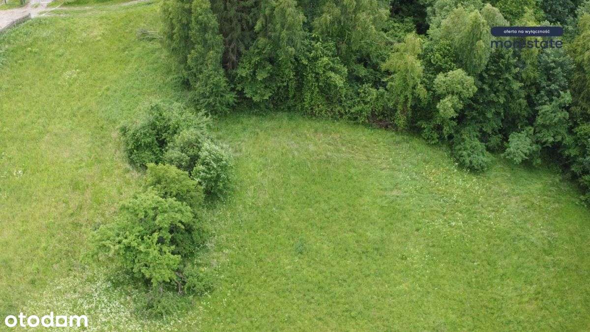 Działka budowlano-leśna w Zawadzie/piękna okolica - Pełny obrazek: 5/7