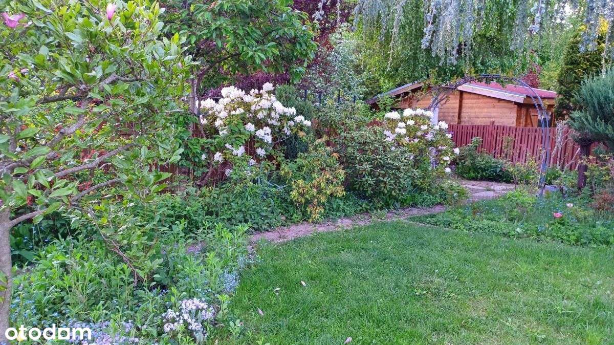 Dom - BliŹniak W Zielonej Górze-17