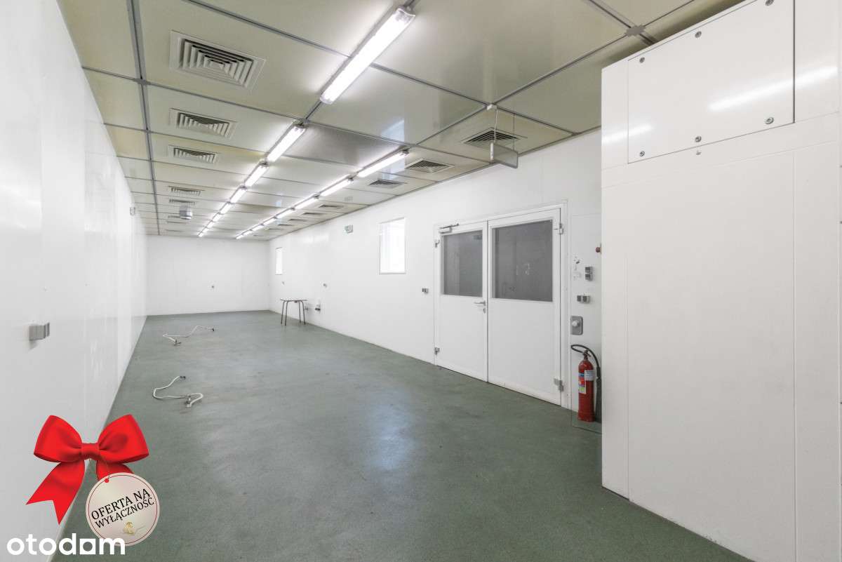 Hala 485m2 z zapleczem 276m2 działka 68a - Łęczna - Pełny obrazek: 5/13